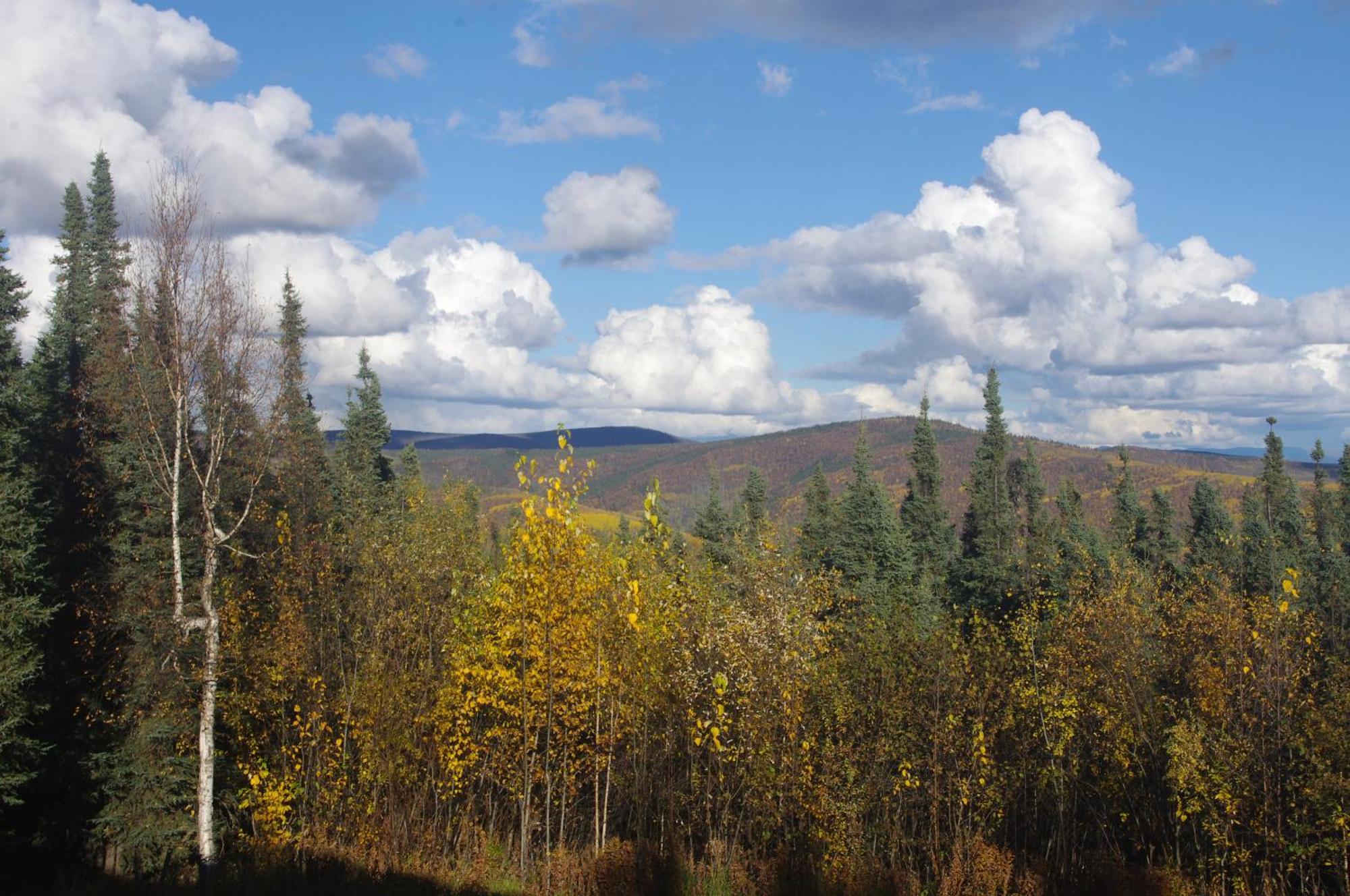 Apartamento Aurora Viewing Deck And Peaceful Retreat Fairbanks Exterior foto
